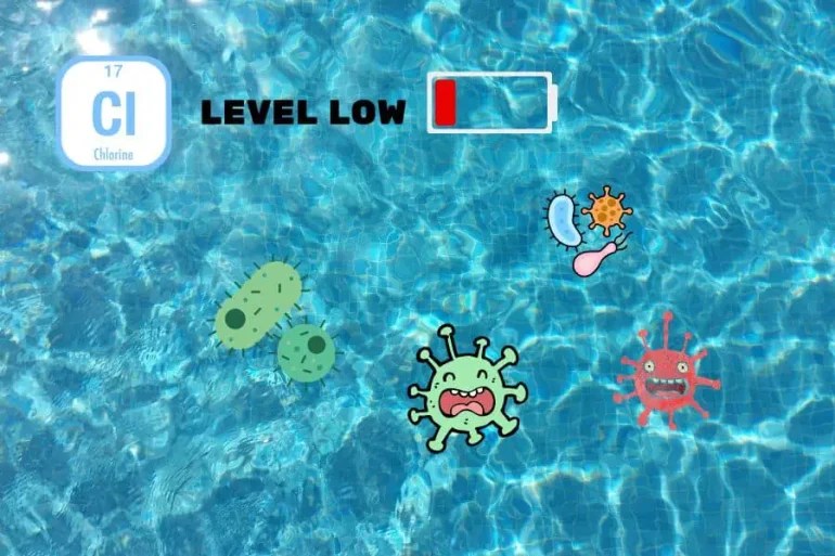 How to Get Rid of Maggots in Your Swimming Pool Infarrantly Creative