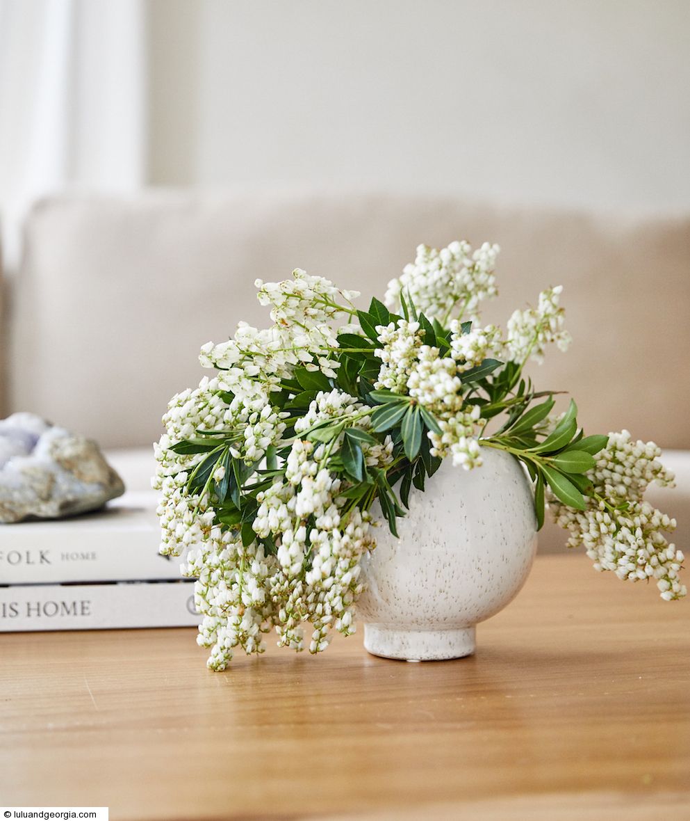 LULU and « Mother's Day Giveaway « Infinite Sweeps