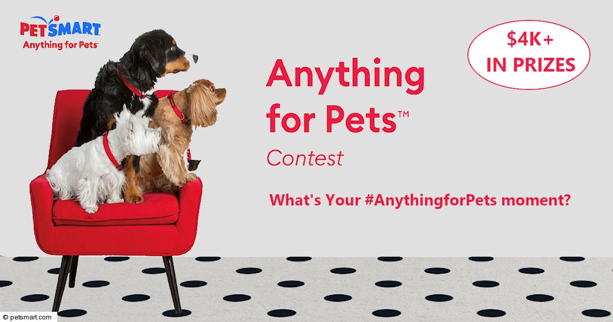 PetSmart® » Anything for Pets™ Contest