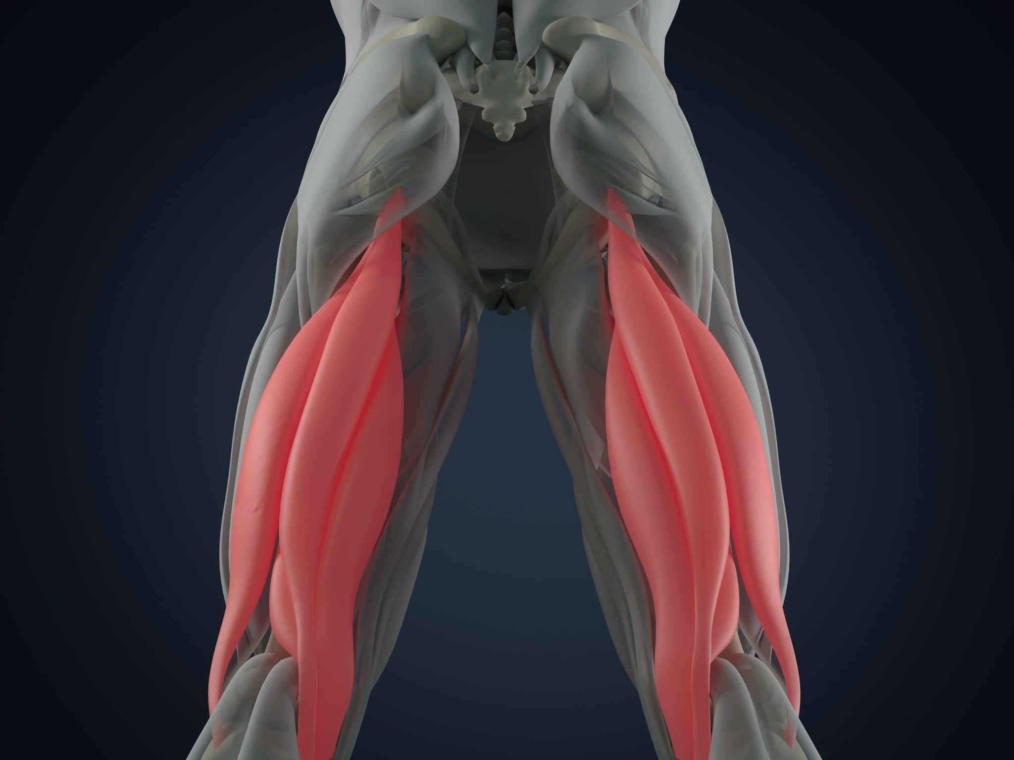 Hanging Hamstring Raise Evaluation for injury prevention