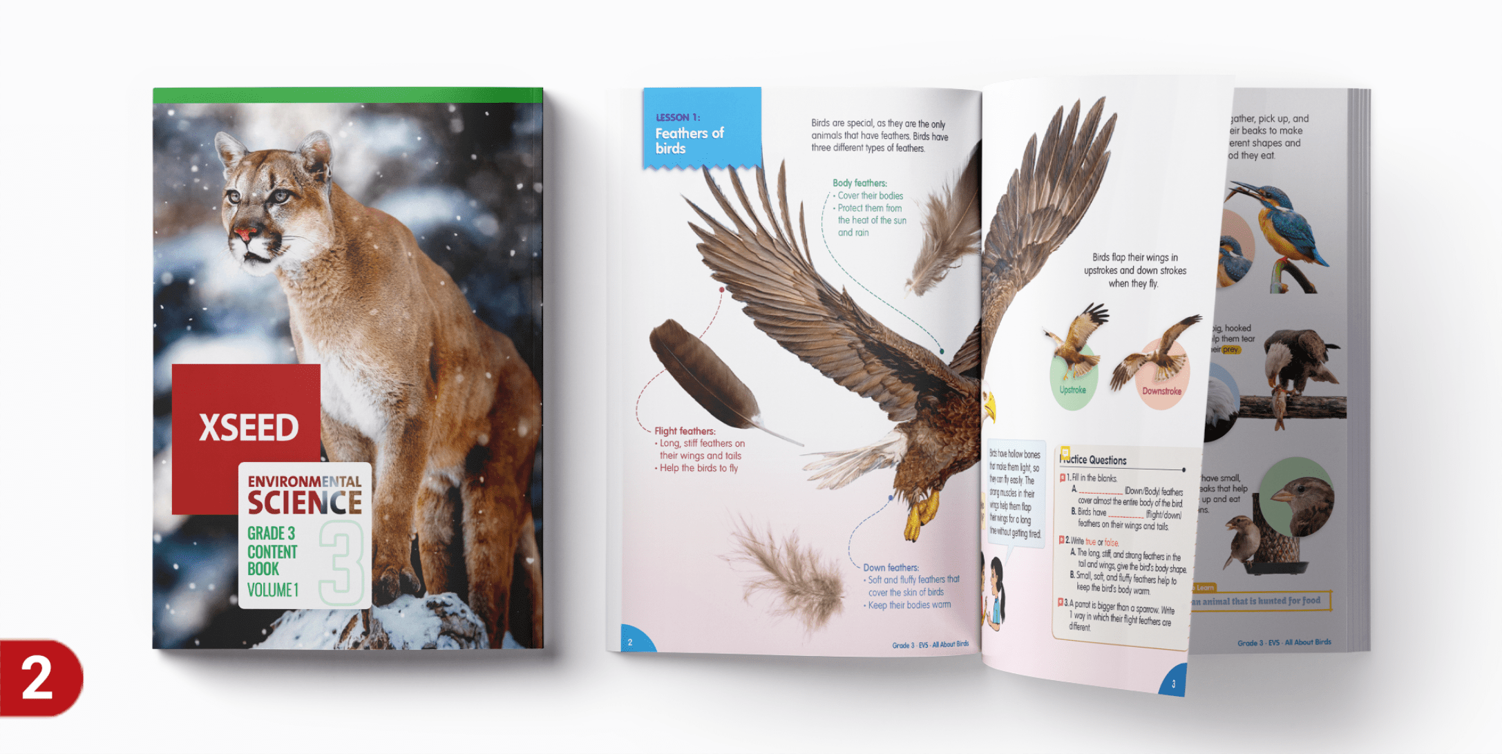 Parent Guide to Using The XSEED Book Pack XSEED Education