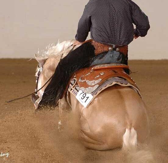 PALE FACE DUNNIT IN FOAL PARTNERS QUARTER HORSE STALLIONS