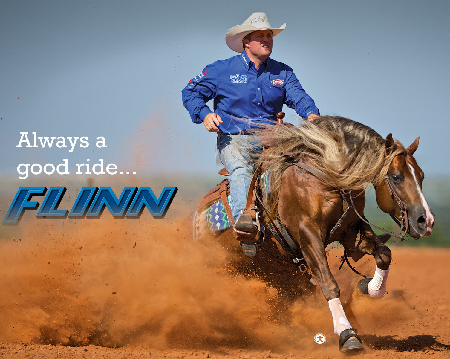 IN LIKE FLINN IN FOAL PARTNERS QUARTER HORSE STALLIONS