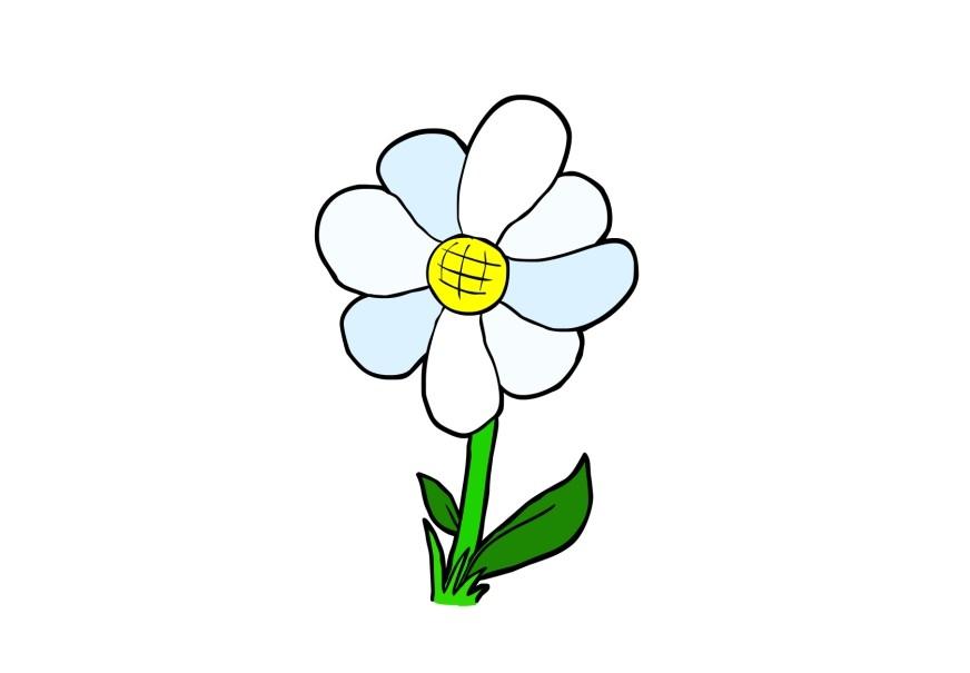 Bilde blomst Gratis Bildene bilde 13949