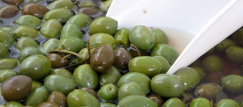 elevación Incentivo barco precio del kilo de aceitunas para aceite