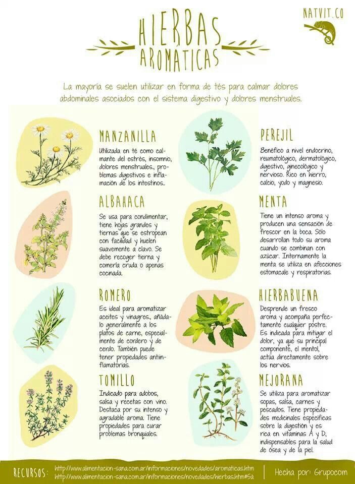 8 hierbas aromáticas con propiedades medicinales Infografías y Remedios