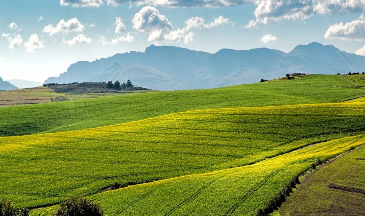 terreni abbandonati in regalo 2023 Agricoltura, Maxi-Asta Per Acquistare I Terreni Abbandonati E Finanziamenti A Tasso Zero Per Giovani E Donne