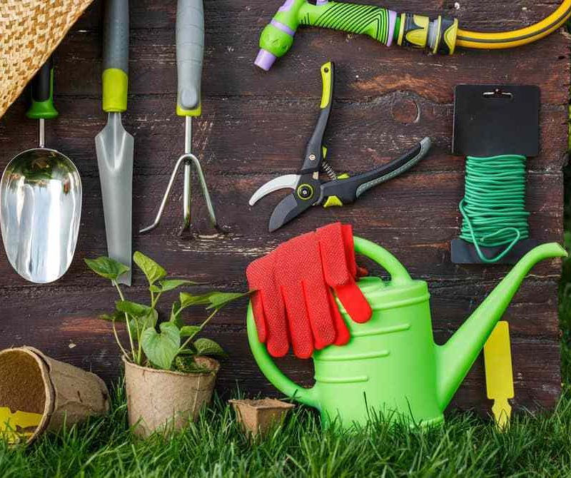Herramientas de jardín básicas para principiantes Info
