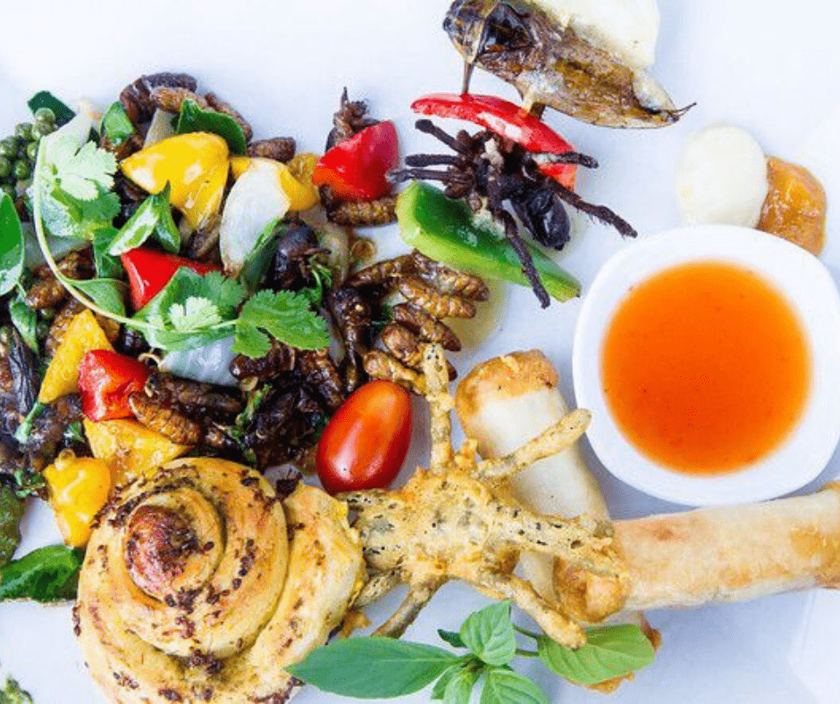 Novel Food LBS Leisure and Business Services