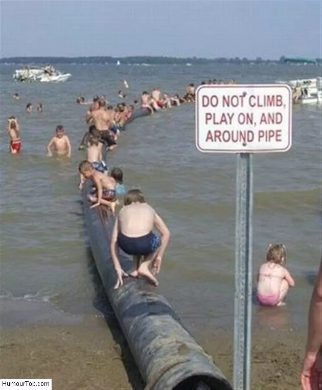 10 photos de vacances à la mer insolites