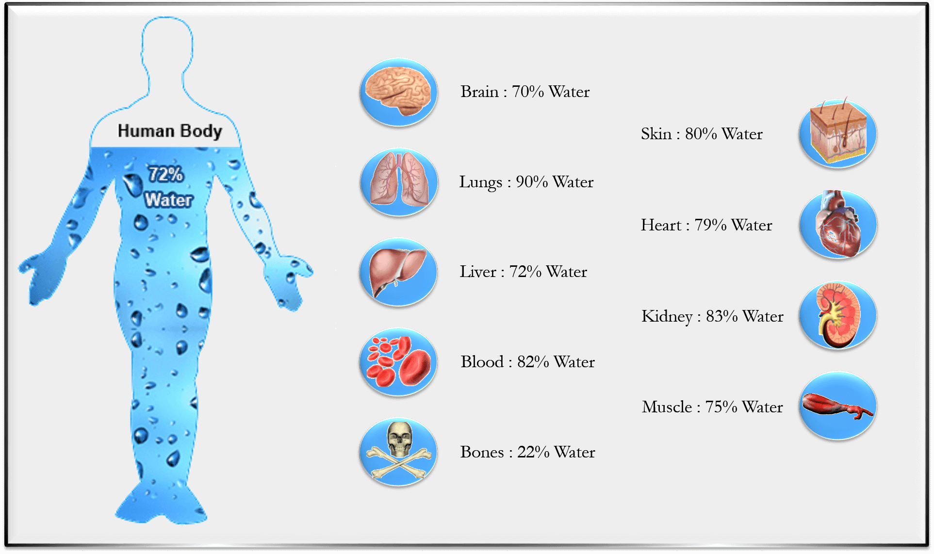 Drinking Water following a Proper System Keeps You Healthy Did You