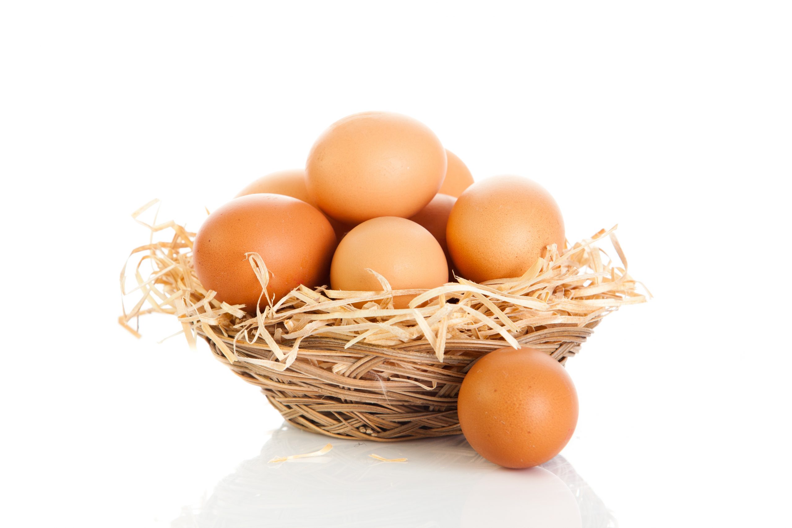 Eggs in one basket Informanagement UK