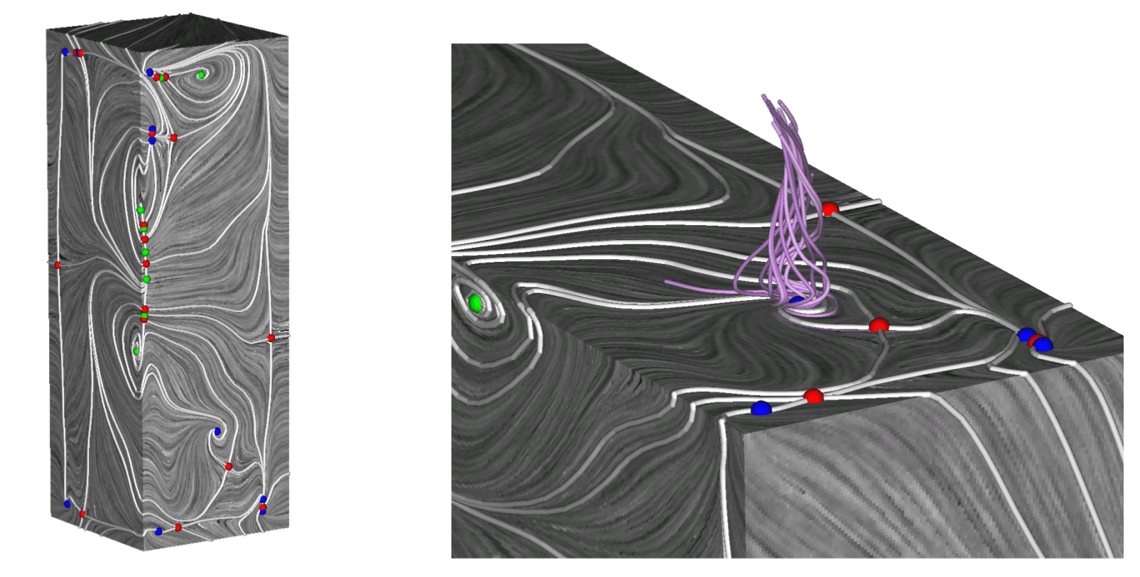 Scenario Surface Topology FAnToM Field Analysis using Topological