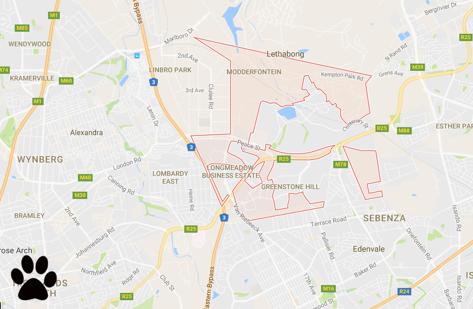 Town Council of Modderfontein (Bylaws relating to dogs) Infurmation