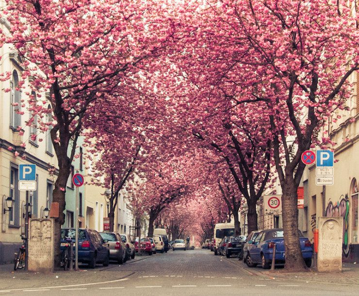 Street In Bonn Germany Wikipedia Infy world