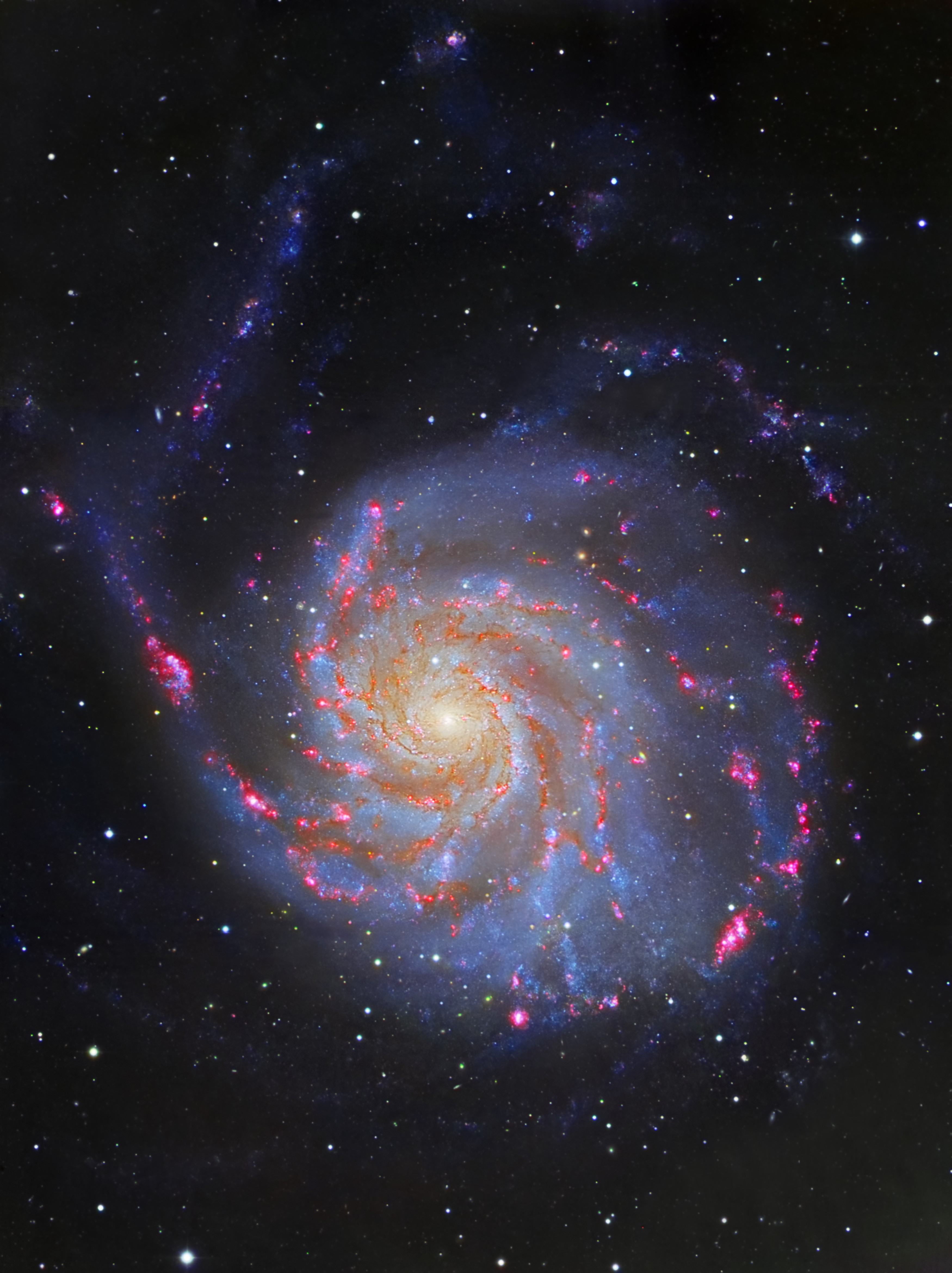 The Pinwheel Galaxy