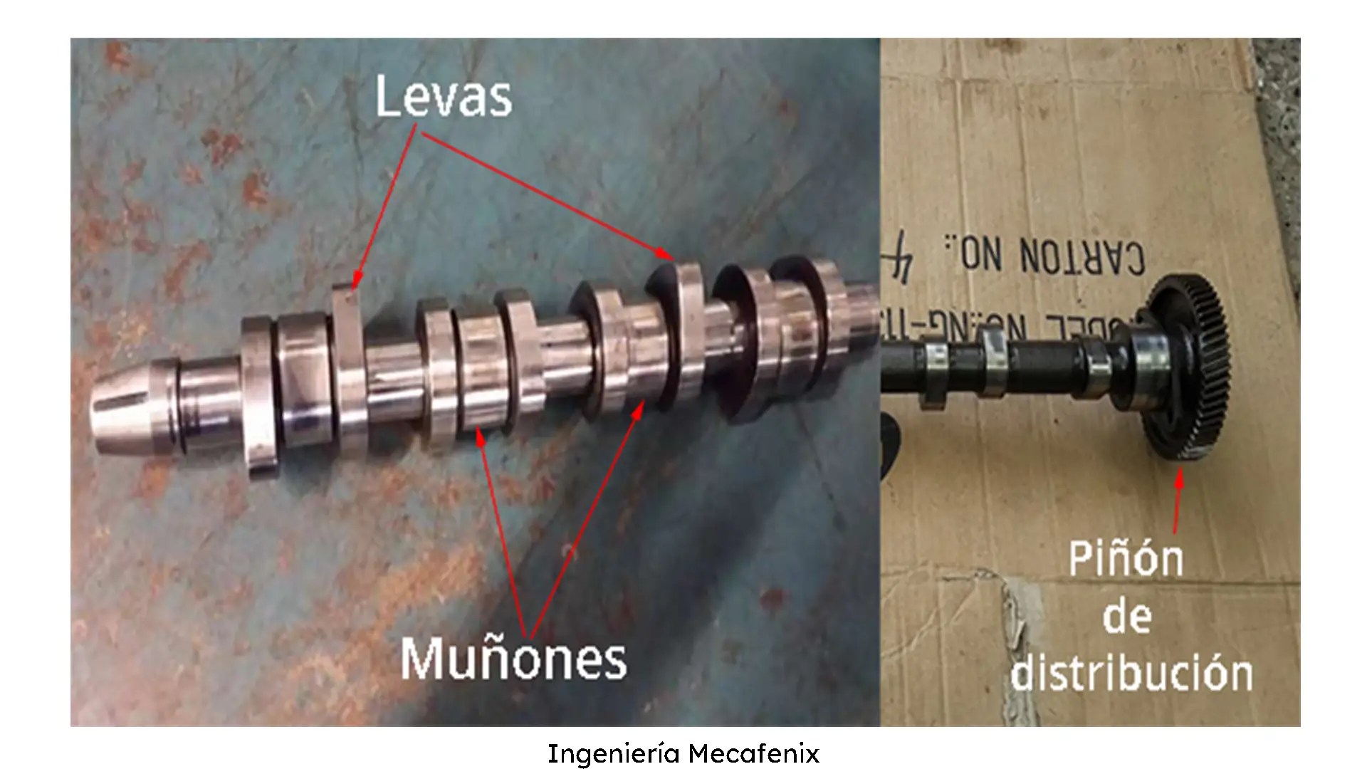 Que es un árbol de levas y que tipos existen Ingeniería Mecafenix
