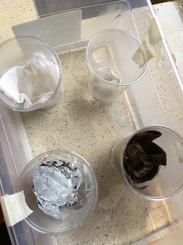 Heat melting ice cubes ingridscience.ca