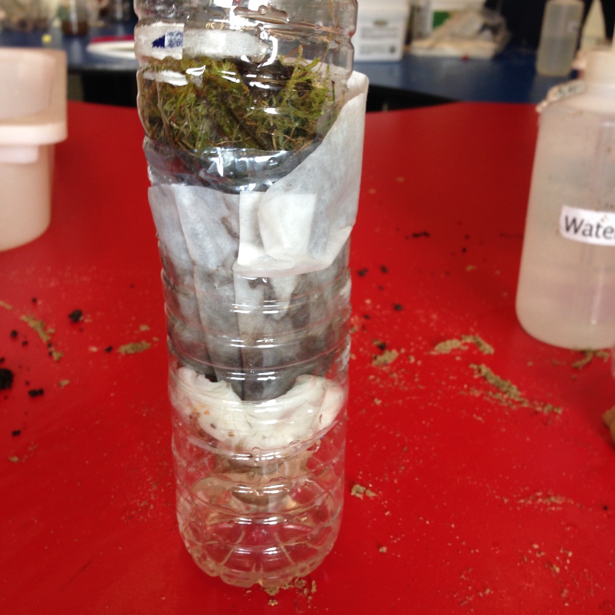 Filtering Water ingridscience.ca