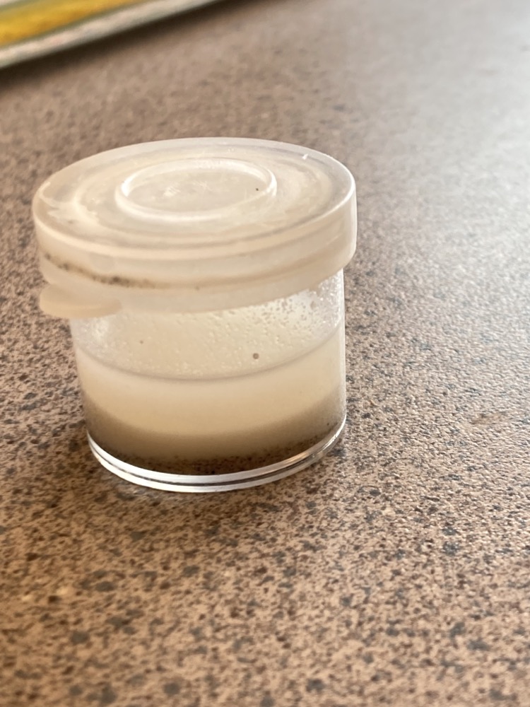 Making mixtures solutions, suspensions and colloids ingridscience.ca