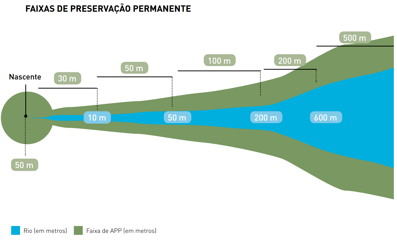 Iniciativa Verde O que as árvores têm a ver com a água?