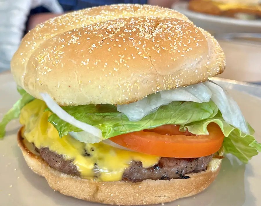 Sheilas Cheeseburger with Everything(01)
