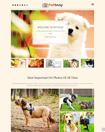 PetSnap - Pet & Animal Photography WordPress Theme | InkThemes