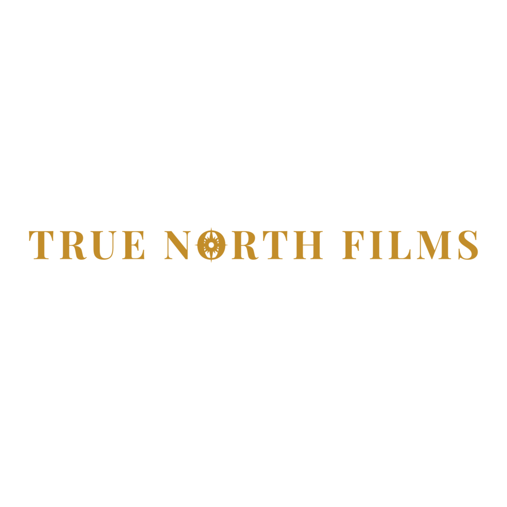 TrueNorth INLAB CONSULTING