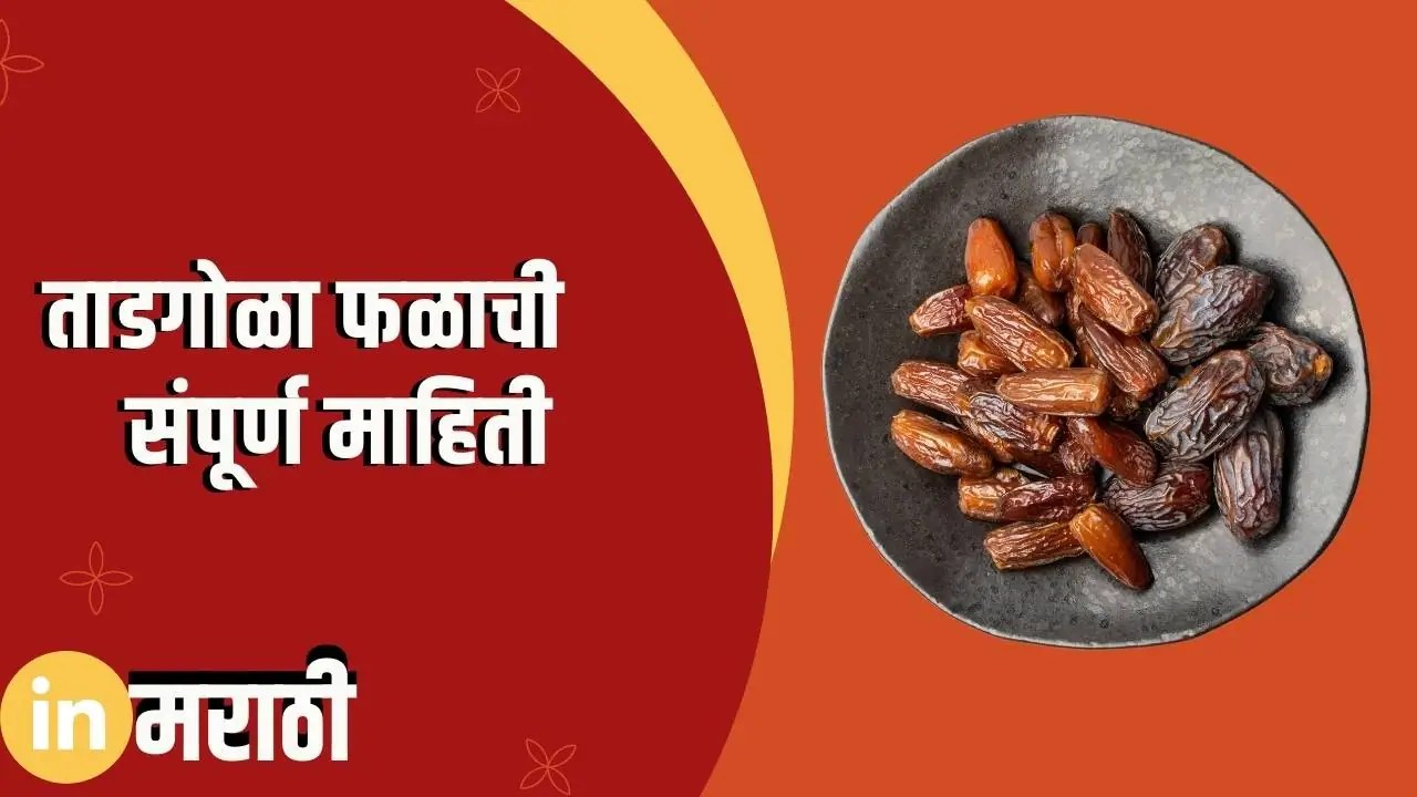 ताडगोळा फळाची संपूर्ण माहिती Palm Fruit Information In Marathi » In Marathi