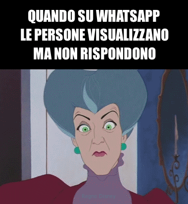 Immagini Meme Gif Per Whatsapp Una Raccolta Delle Piu Divertenti E Simpatiche Da Scaricare Gratis