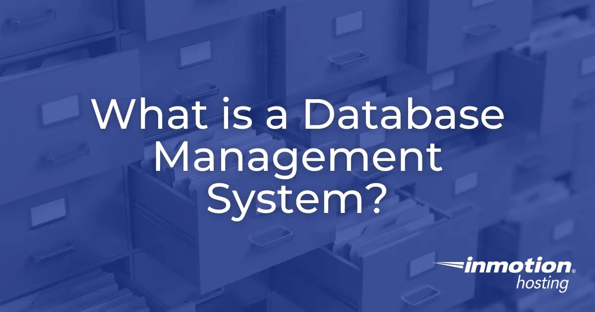 Database Management Systems Organizing and Accessing Data