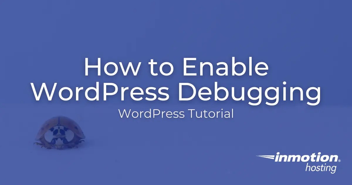 Learn How to Enable WordPress Debugging Using WPCLI or File Manager