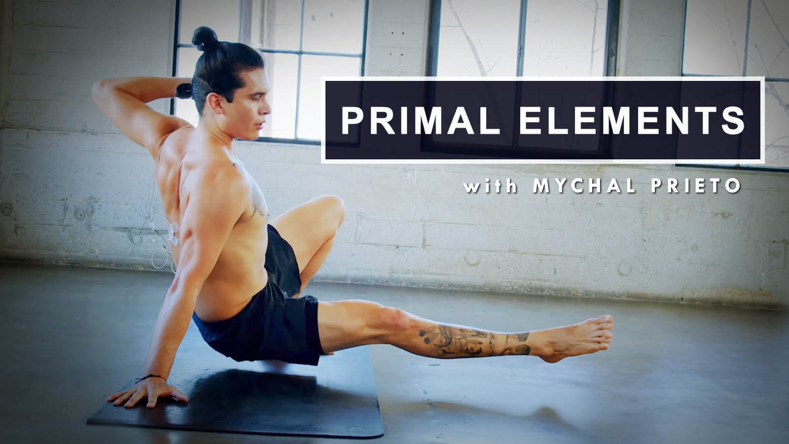 Primal Elements Inner Dimension TV