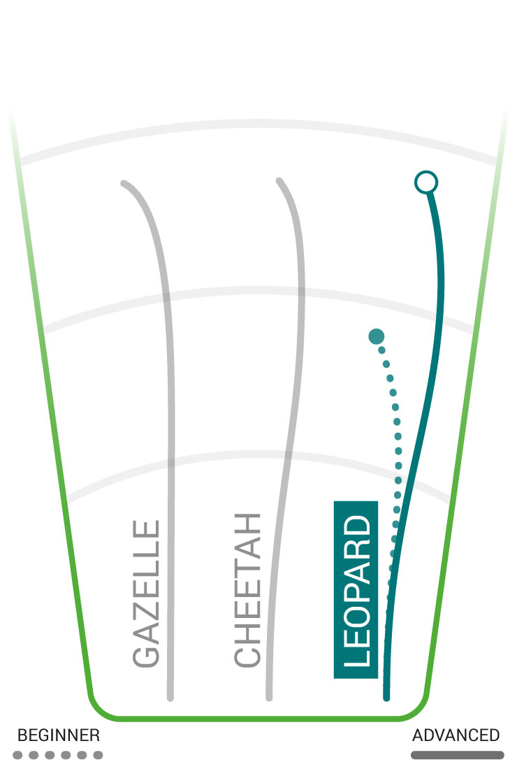 Leopard Innova Disc Golf