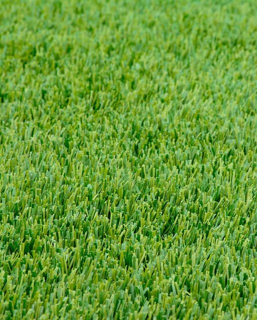 The Best Grasses To Grow In Your Texas Yard.