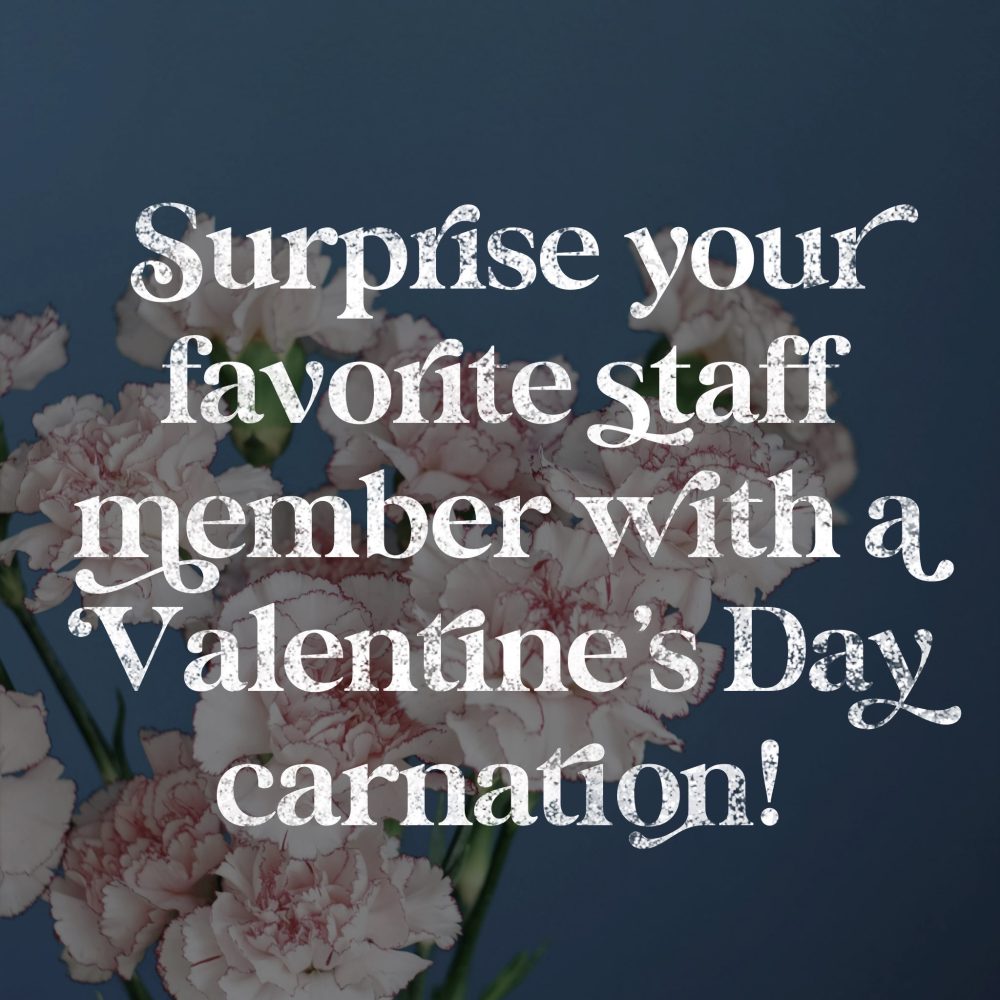 Carnation Fundraiser Show Your Love for the IN Team! Independence Now