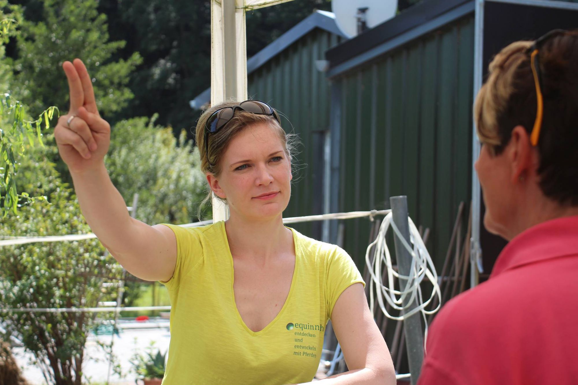 Faszination wing Wave Coaching innsicht entdecken und entwickeln