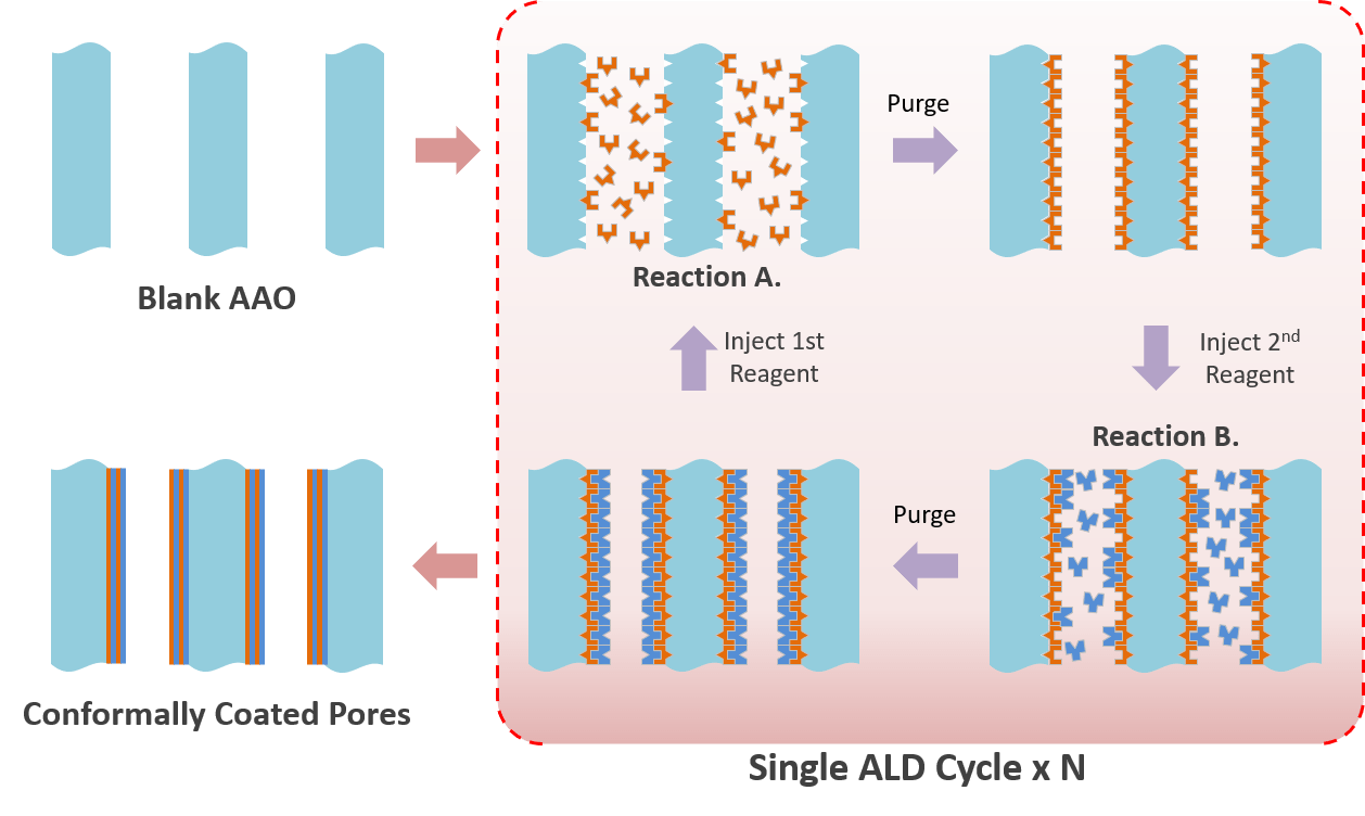 Atomic Layer Deposition InRedox