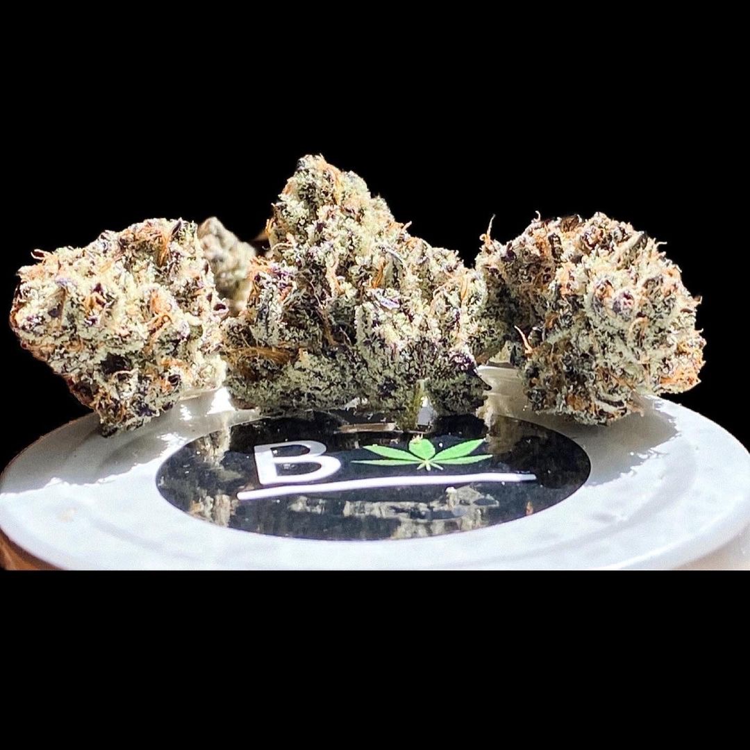 White Truffle S1 (Fem) VAULT! Insane Seeds