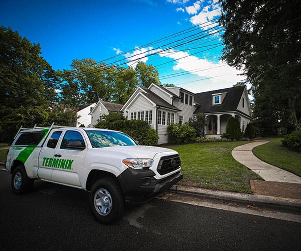 Rodent Control & Prevention Eastern NC To Tidewater VA