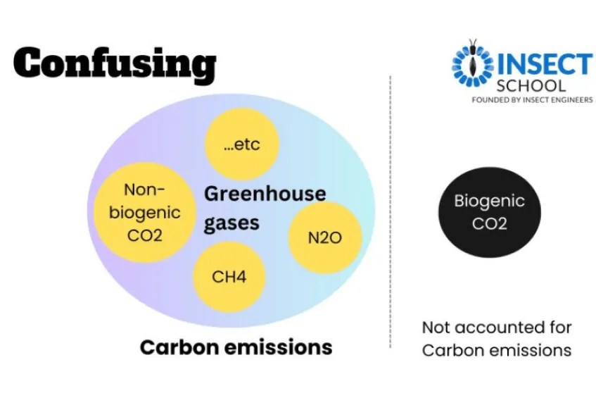 GHG, CO2e, Carbon emissions what do all these terms mean? Insect School
