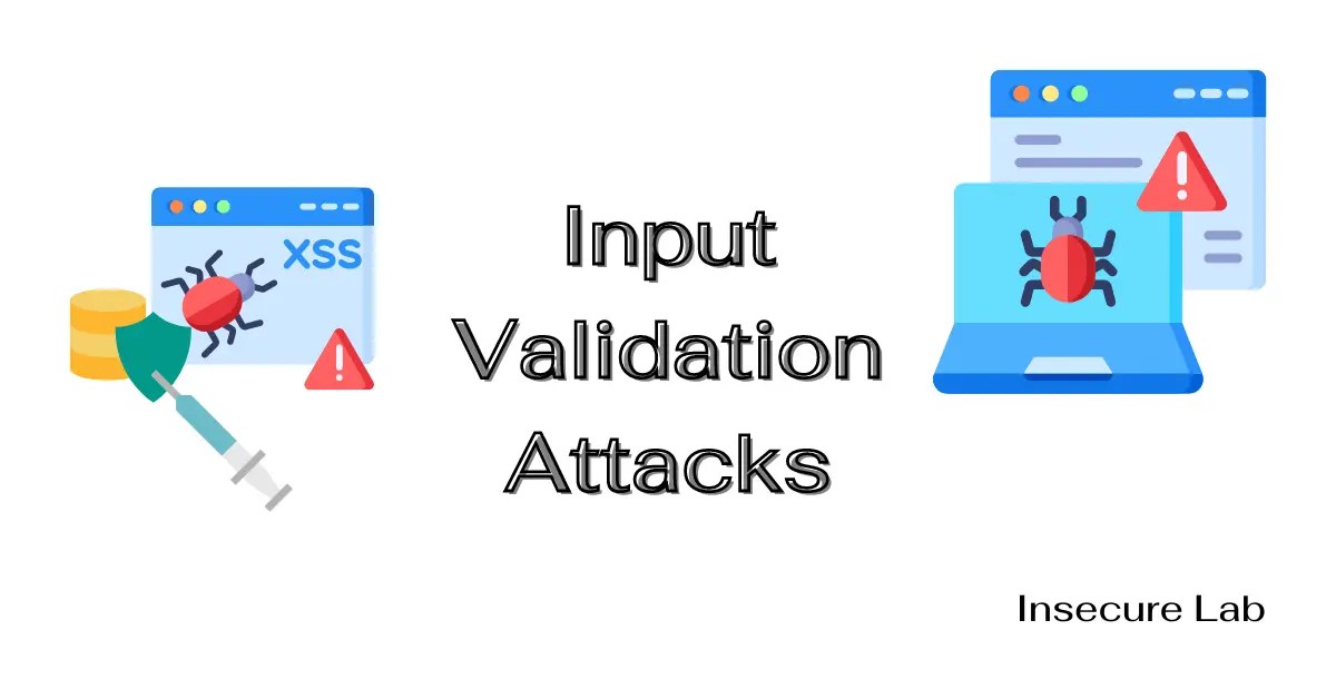 Input Validation Attacks and Defenses