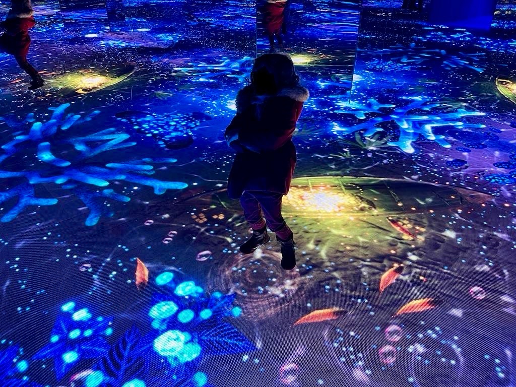 What to do in Brussels in November 🍂? InsideBrussels.be