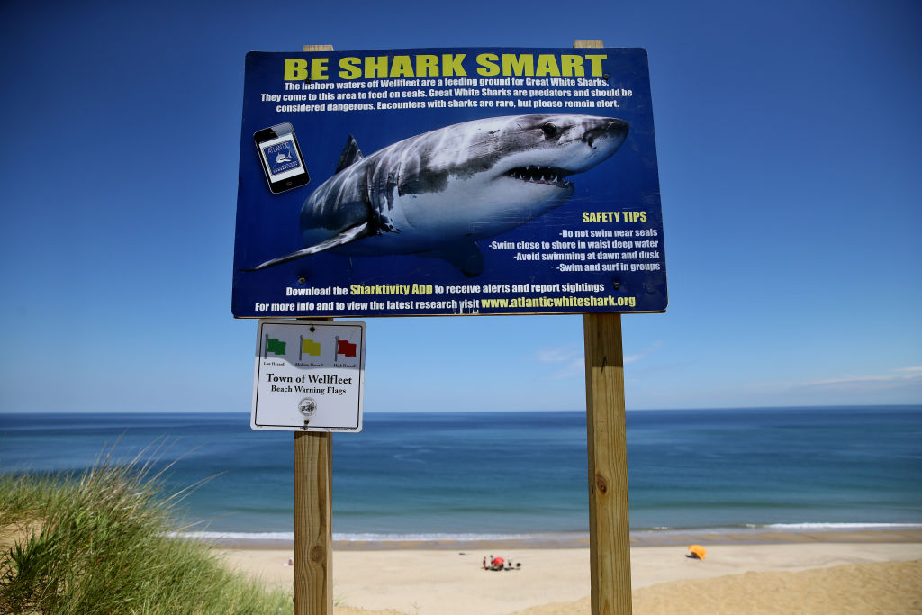 Cape Cod Residents Meet to Discuss Shark Problem That Recalls "Jaws