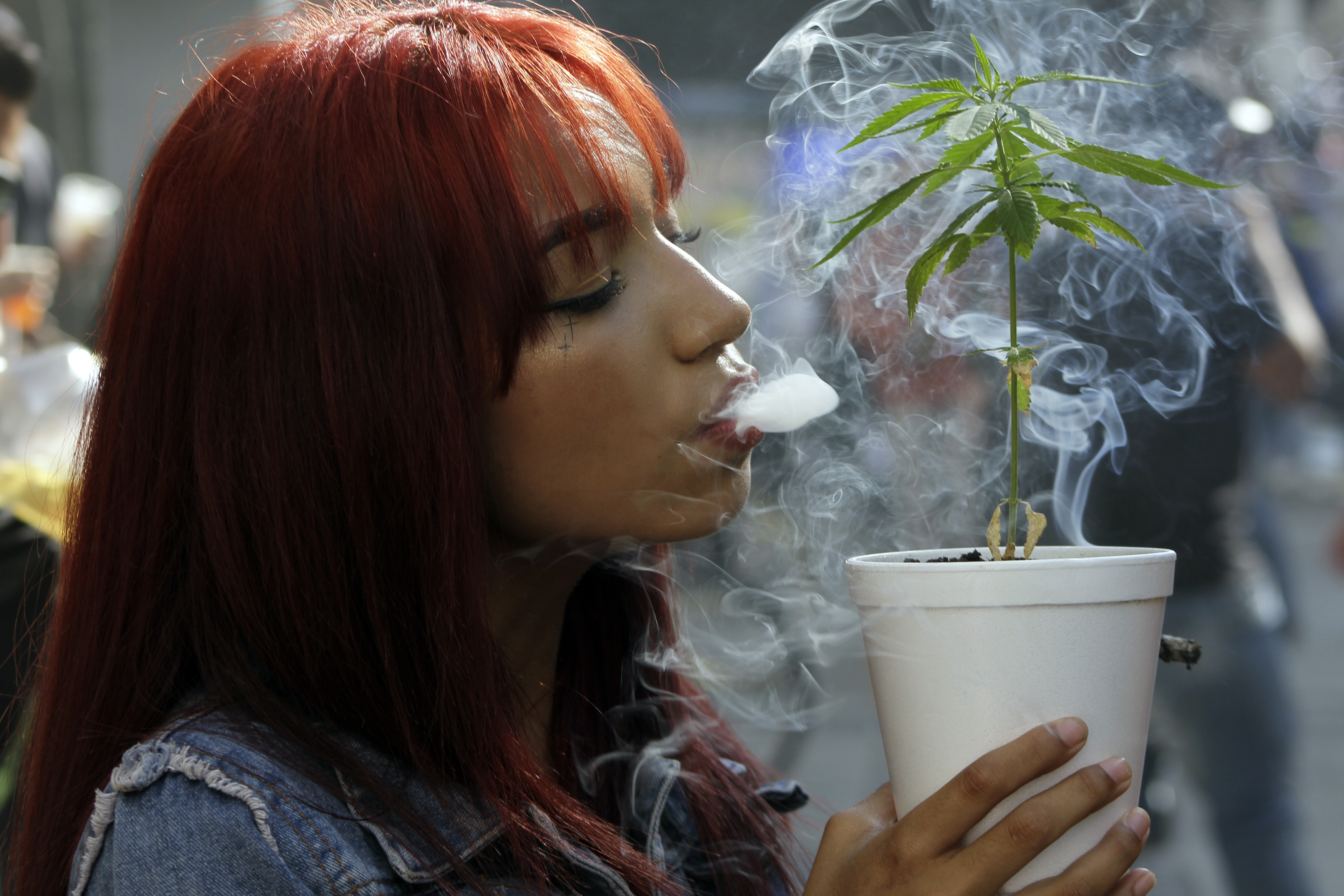 Study Suggests Toxins in Marijuana Smoke Are Similar to Cigarettes
