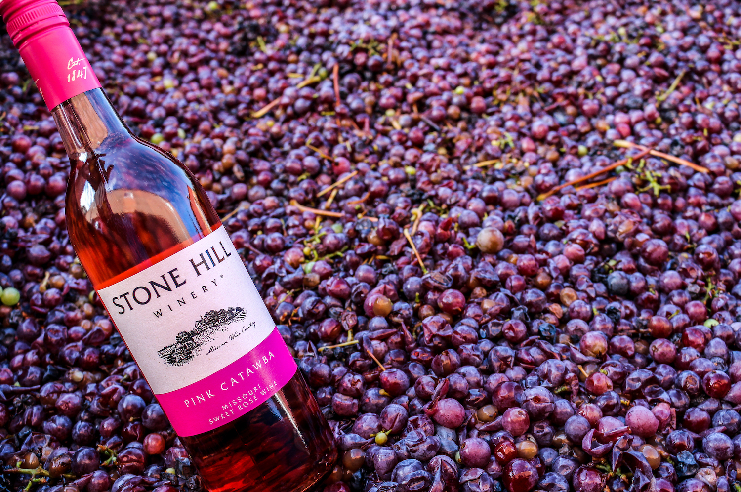 Swap That French Wine for a Hardy American Catawba InsideHook