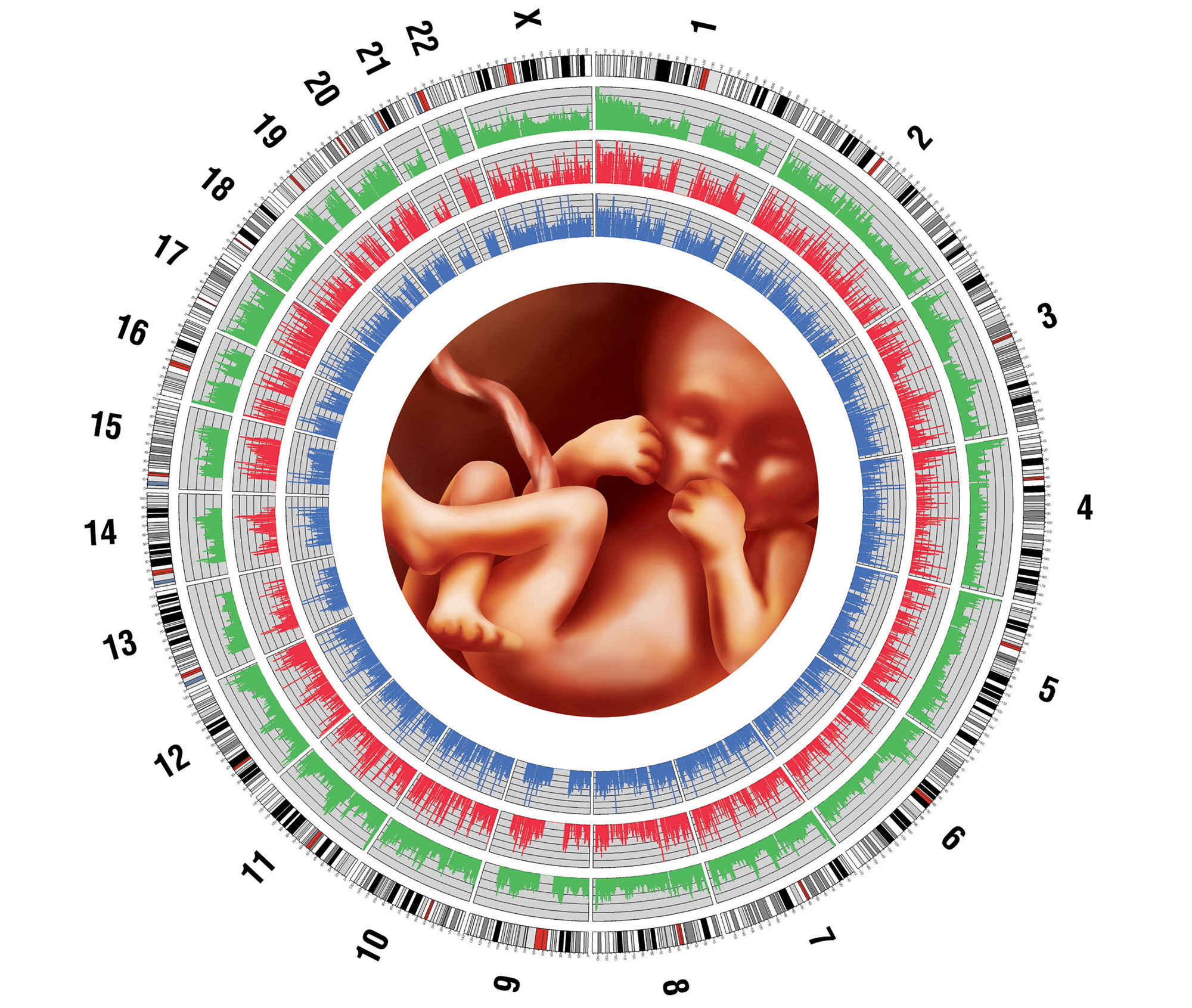 A Noninvasive Future Prenatal Testing Looks to SingleCell