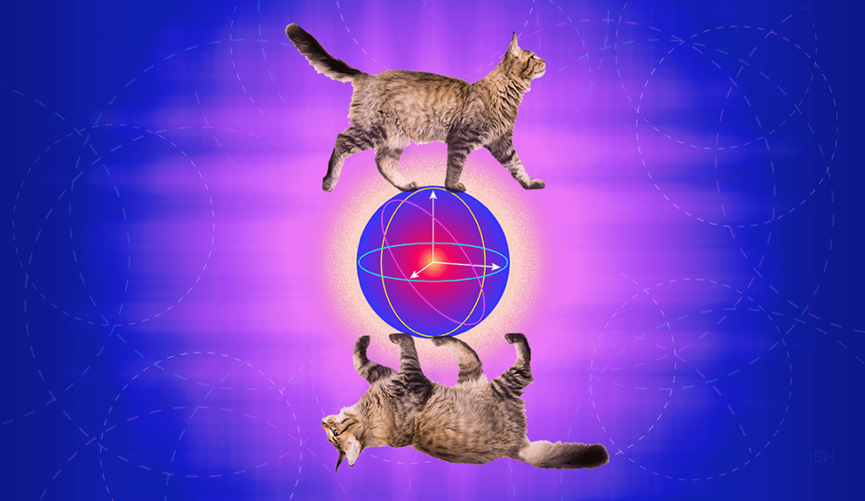 Quantum Company Alice & Bob Announce New Advances in Cat Qubits