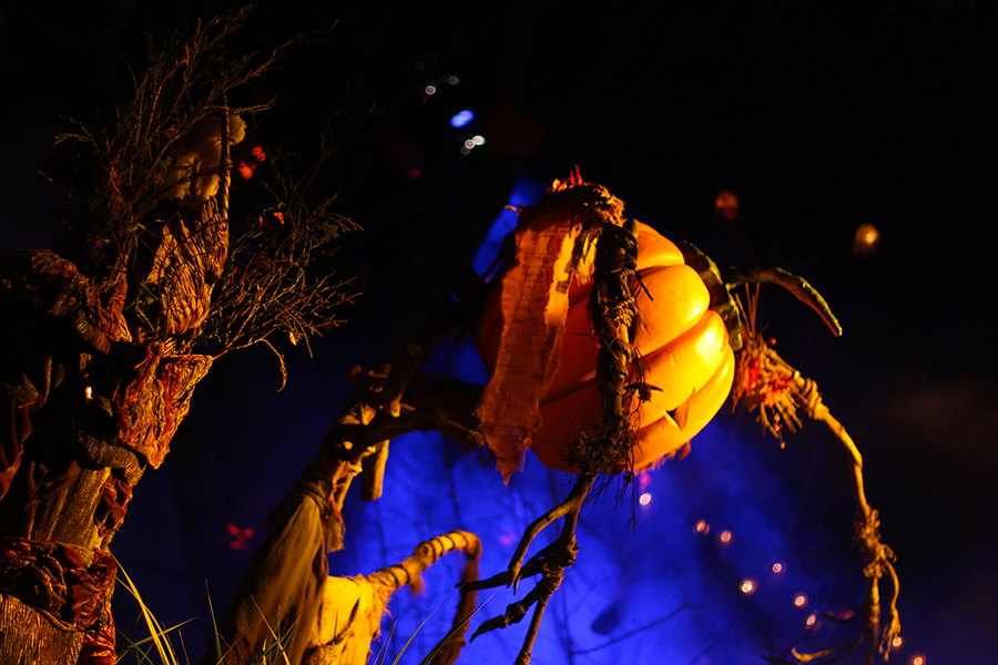 Halloween Horror Nights 25 Review Inside Universal