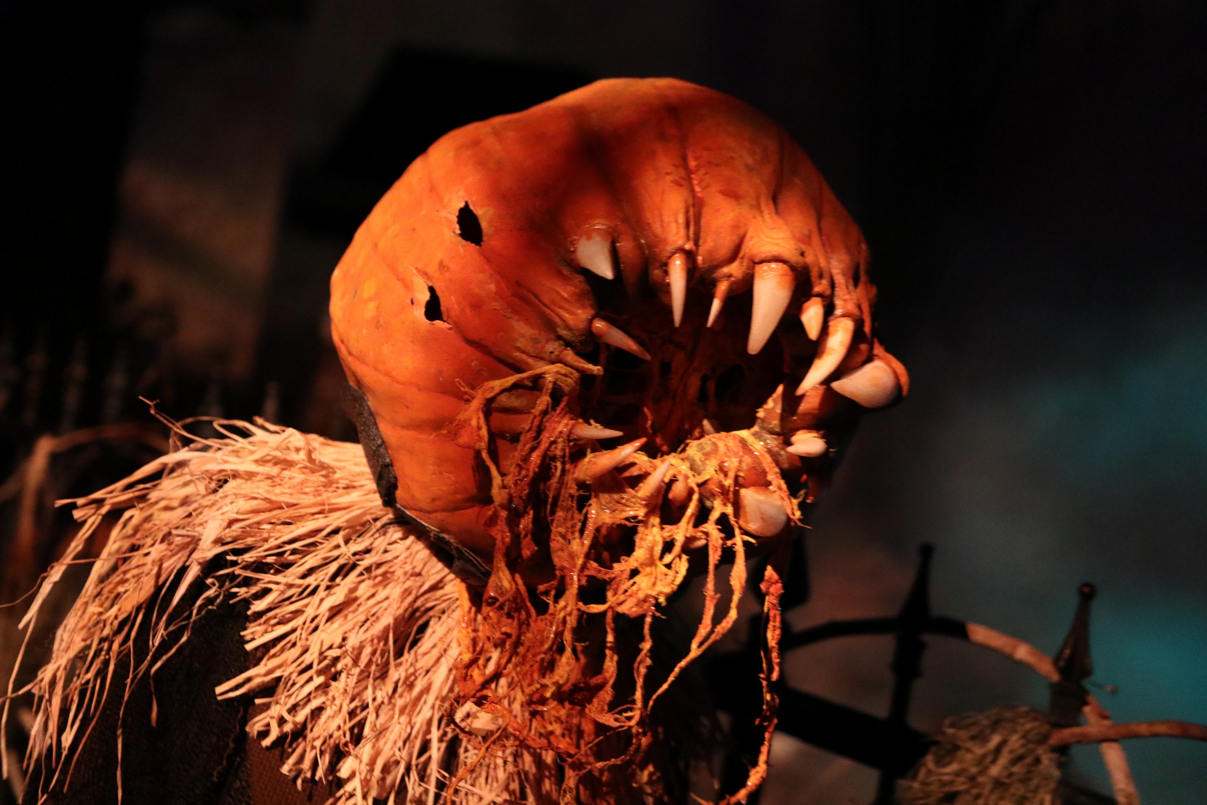 REVIEW Halloween Horror Nights 28 at Universal Orlando Inside Universal